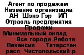 Агент по продажам › Название организации ­ АН "Шэнэ Гэр", ИП › Отрасль предприятия ­ Продажи › Минимальный оклад ­ 45 000 - Все города Работа » Вакансии   . Татарстан респ.,Чистопольский р-н